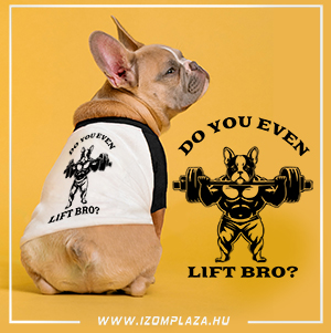 Do you even lift bro? 3/4 ujjú kutyapóló 
