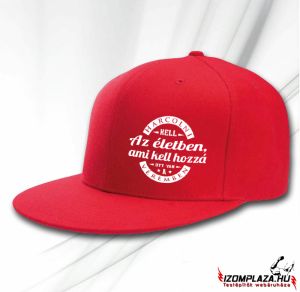 Harcolni kell az életben, ami kell hozzá, ott van a véremben snapback (piros)