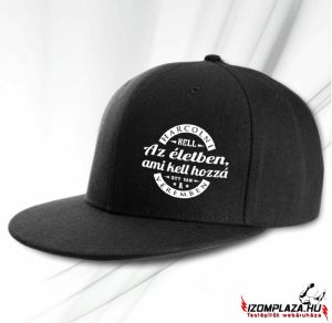 Harcolni kell az életben, ami kell hozzá, ott van a véremben snapback (fekete)